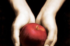 2007- Twilight by Stephenie Meyer